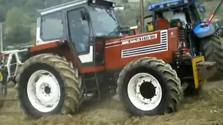 Pietracolora Tractor Fest 2009 - fiat 140-90