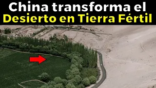 Cómo CHINA TRANSFORMA el desierto en un OASIS de Tierra Fértil