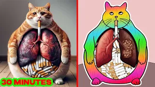 Ginger Cat 😿 Please stop smoking / Cat memes Drawing