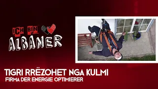 Tigri rrezohet nga kulmi (Firma Der Energie Optimierer)