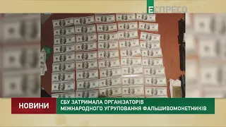 СБУ затримала організаторів міжнародного угруповання фальшивомонетників