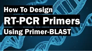 How To Create Real-Time PCR Primers Using Primer-BLAST