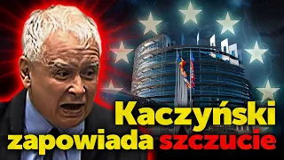 Kaczyński zapowiada szczucie. Do europarlamentu prezes PiS zapowiada "ostrą negatywną kampanię"