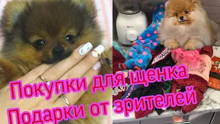 VLOG:ПЕРВЫЕ ПОКУПКИ ДЛЯ ЩЕНКА ШПИЦА+ПОСЫЛКА ОТ ЗРИТЕЛЕЙ!ПОДАРКИ МНЕ И МОИМ СОБАКАМ ОТ ЕЛЕНЫ!