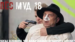 ПЁС муд 18