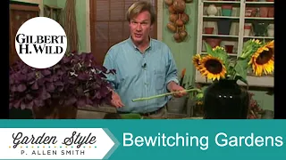 Bewitching Mysterious Gardens | Garden Style  (702)