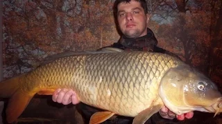 Подводная охота на сазана spearfishing carp