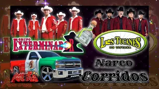 Narco Corridos Chingones ✴️ Grupo Exterminador 💥Los Tucanes De Tijuana