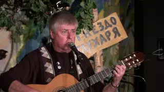 Леонид Сергеев - А я на митинги хожу....