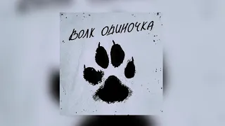 СЕРГЕЙ МИРОНЕНКО - Волк одиночка (Премьера 2021)