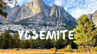 iPhone 11 Pro Cinematic footage of Yosemite National Park
