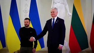 Зеленський зустрівся із Президентом Литви перед  участю в саміті Триморʼя