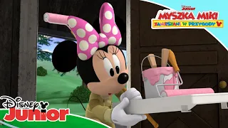 Wakacyjny domek Minnie 🏝 | Myszka Miki: Zamieszani w przygody | Disney Junior Polska