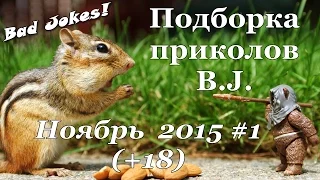 Подборка приколов B.J. за ноябрь  2015 #1 (+18)