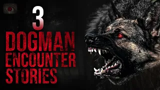 DON'T MESS WITH GRANDMA - 3 SCARY STORIES OF DOGMAN ENCOUNTERS