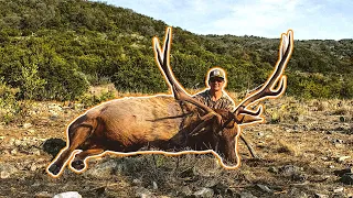 Patton Hunts his FIRST GIANT BULL ELK!!! | Elk Hunting in Texas