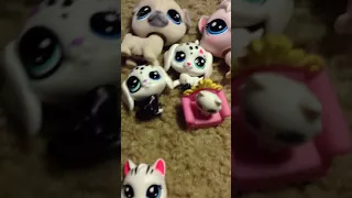 [Littlest Pet Shop, Black and White collection, Tinsies,etc]New Lps/toy unboxing and review!!