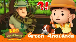 TANGLED BY A HUGE SNAKE?! 🐍 | Green Anaconda | Leo the Wildlife Ranger | Kids Cartoons