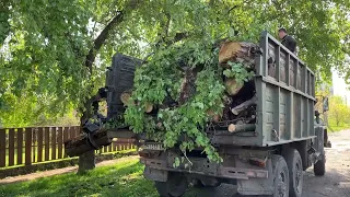 У Прилуках розпочались роботи по спилюванню аварійних та сухостійних дерев