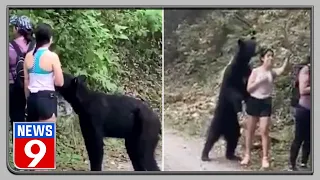 Viral video: Women hikers take selfie with a bear