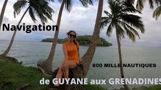 NAVIGATION DE GUYANE AUX GRENADINES