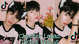 Chester Lapaz Tiktok Videos Compilation 14-15