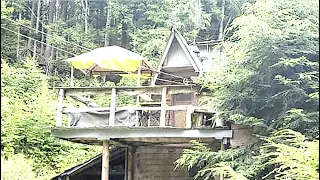 This Hiker Found An Old Abandoned Cabin Inside This Swampland But Didn't Expect To Encounter This