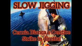 CERNIA BIANCA E DENTICE - Slow jig