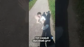 пов: тот самый высокий друг