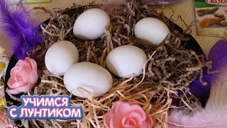 Учимся с Лунтиком 🥚🐣🥚 Пасха - яйца и куличи 🐇🐇🐇 Сборник мультиков для детей