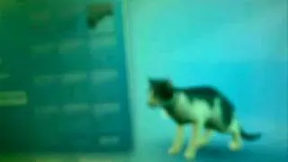 PSP SIMS2 PET (20090107.mp4)