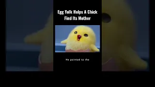 Egg Yolk Helps A Chick Find Its Mother