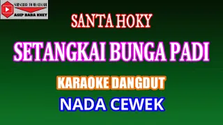 KARAOKE DANGDUT SETANGKAI BUNGA PADI - SANTA HOKY (COVER) NADA CEWEK