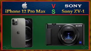 iPhone 12 Pro Max vs Sony ZV 1 Comparison Video (Spec Comparison)