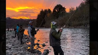 10/09/2023 Thanksgiving Day Fishing Coho & Chum Salmon Vedder Chilliwack BC Canada