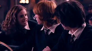 Ron and Hermione Arguing for 3 minutes straight! @_Hagwarts Forever_