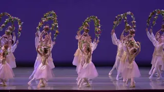«Вальс цветов» из балета «Спящая красавица»