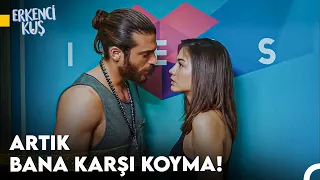 Sanem'in Aşkı Bulma Yolculuğu #63 - Erkenci Kuş