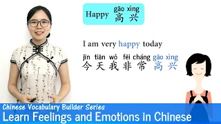 Learn Feelings & Emotions in Chinese | Vocab Lesson 18 | Chinese Vocabulary Series