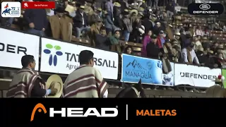 Serie Potros / 75º Campeonato Nacional de Rodeo 2024