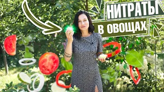 ШОК! Опасные нитраты в овощах и фруктах, как снизить риск?