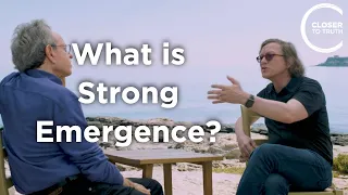 Tim Maudlin - What is Strong Emergence?