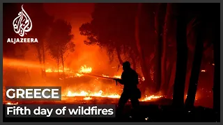 Greece: Blaze sweeps through Athens suburbs as wildfires spread