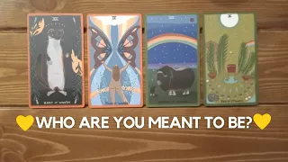 Who are you meant to be? ✨ 😍 🙌 ✨ | Pick a card