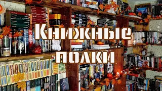 Мои КНИЖНЫЕ ПОЛКИ! Много непрочитанного фэнтези,  Робин Хобб и классика от Азбуки