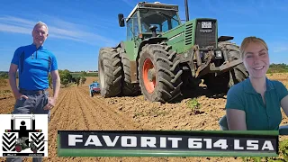 Aus der Serie Klassiker der Landtechnik; Babi und ihr Fendt Favorit 614 LSA im Einsatz #riccic