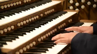 The World of Music with Sean Cotty | “Jesu, Joy of Man’s Desiring”, BWV 147, Johann Sebastian Bach