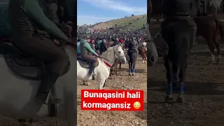 Otlar yugurishi korganmisiz? 🐎