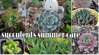 How to care succulents in summer गर्मियों में इन्हें बचाने की कुछ जरूरी खास बातें