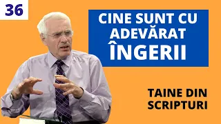 CINE SUNT CU ADEVĂRAT ÎNGERII? | Taine din Scripturi | E36